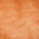 3001 (Copper Cloudy)